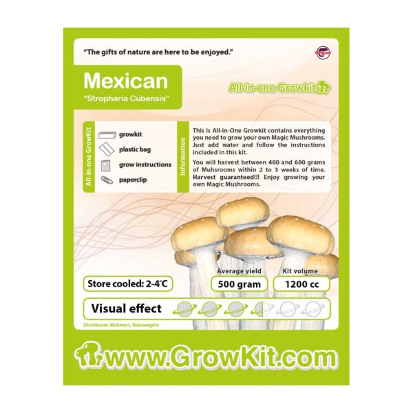 mexican Mushroom Grow Kit for sale